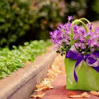 所谓的老好人是什么意思