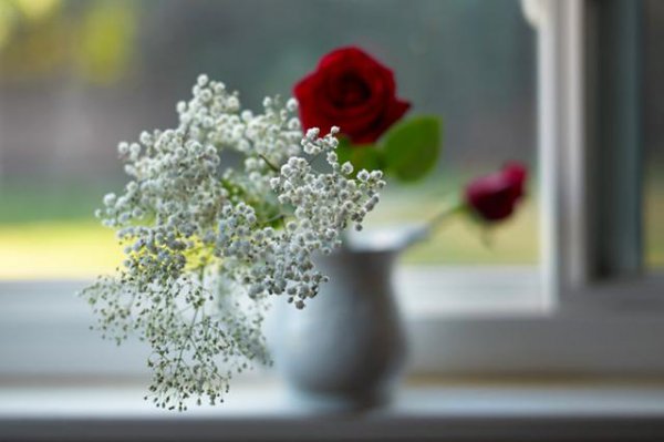 所谓的老好人是什么意思