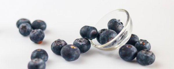 蓝莓是寒性的还是热性的