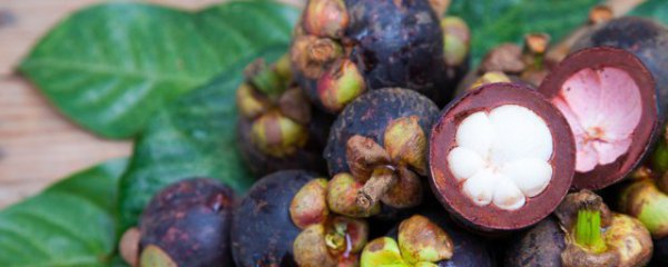 山竹和香蕉可以同时吃吗