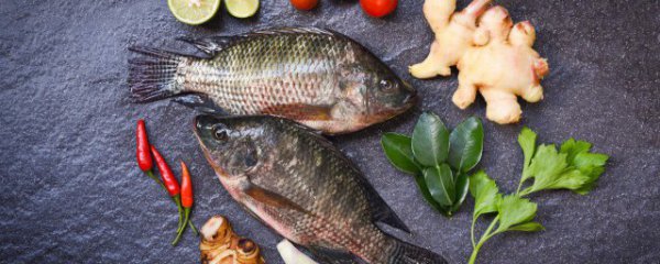 鱼和花生可以一起吃吗