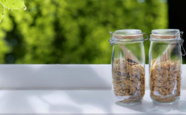 会说话的人情商高的表现