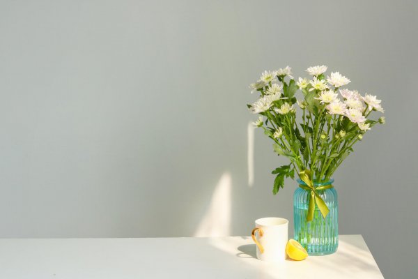 情商高的人一般不交心