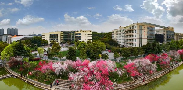 三峡大学是211还是985