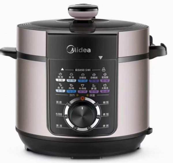 哪个牌子电压力锅最好