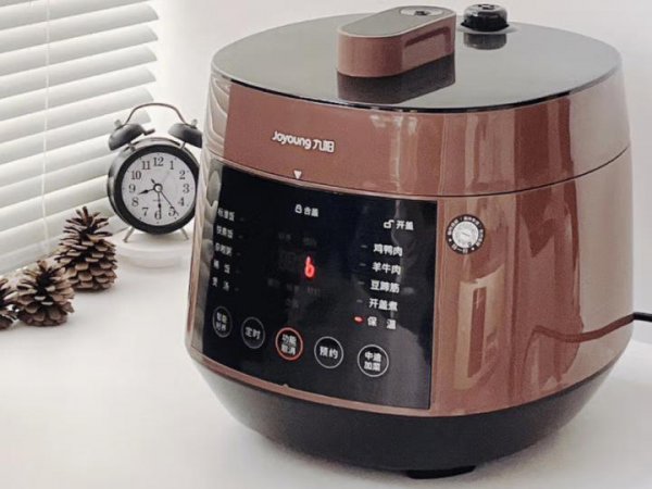 哪个牌子电压力锅最好
