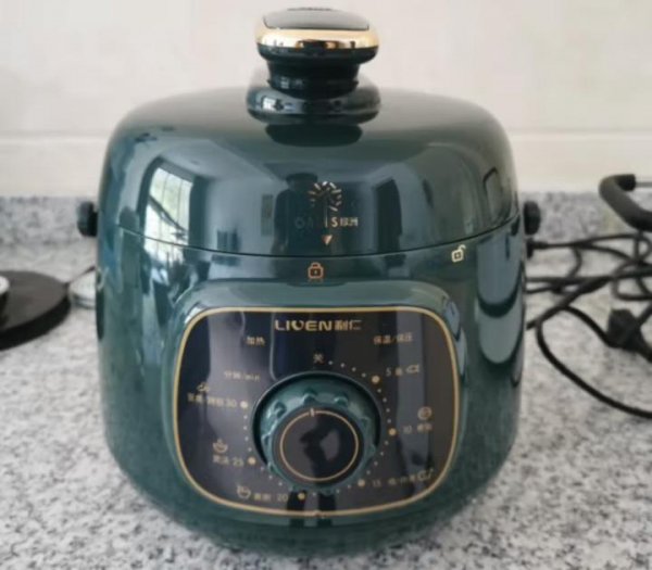 哪个牌子电压力锅最好