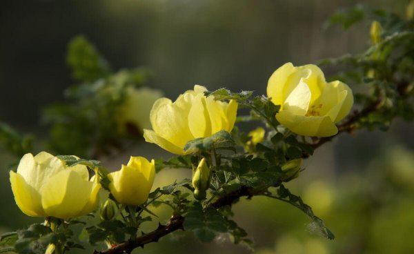 男人不爱了的明显表现是什么
