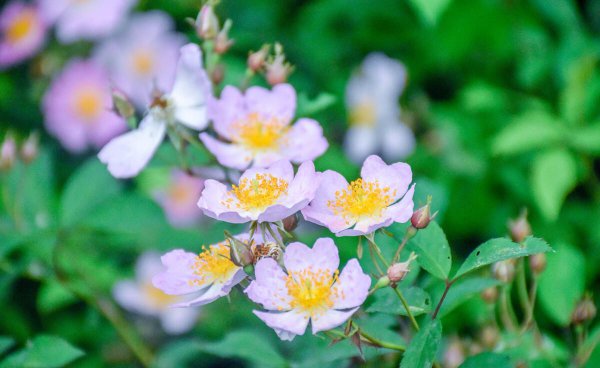 男人不爱了的明显表现是什么