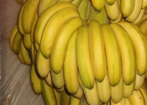 米蕉是热性还是凉性