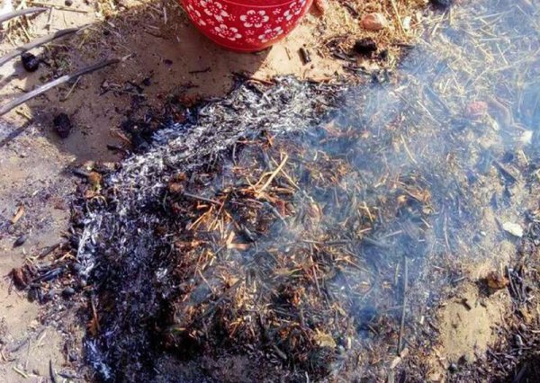 红薯要怎么种才能种得好