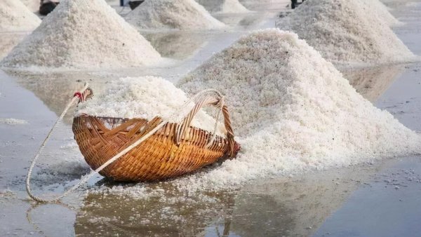 海盐可以代替食用盐吗