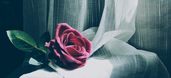 如何区分是恐婚还是不够爱