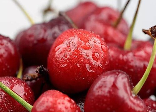 车厘子是转基因水果吗