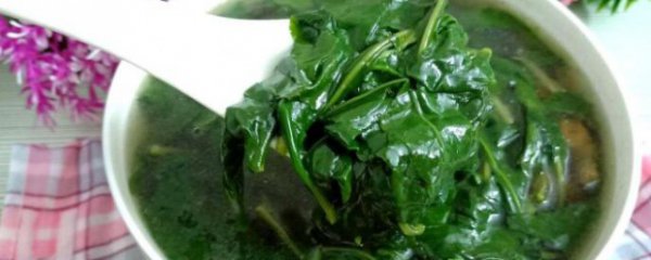 新鲜枸杞叶如何烧好吃