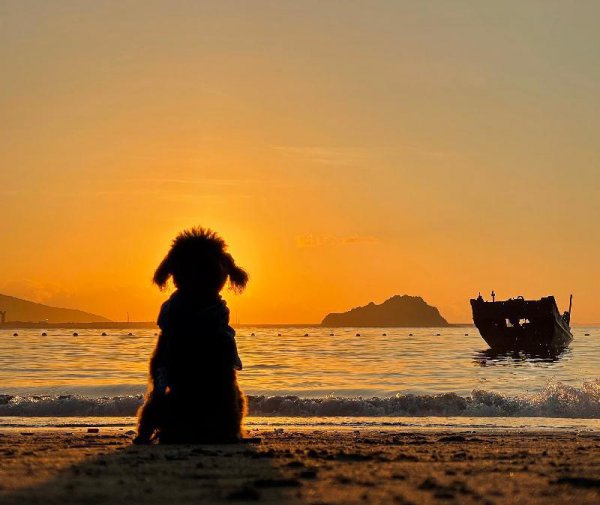 海边拍照技巧怎么摆姿势图片