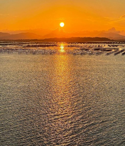 海边拍照技巧怎么摆姿势图片