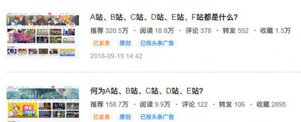 字母站是什么意思