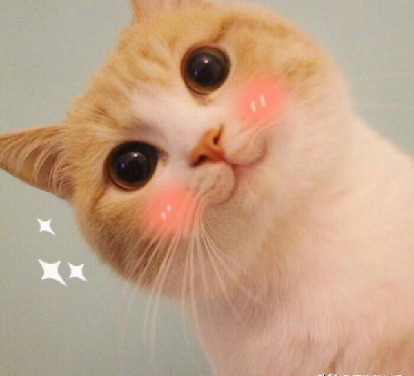 向男朋友认错的话可爱短句