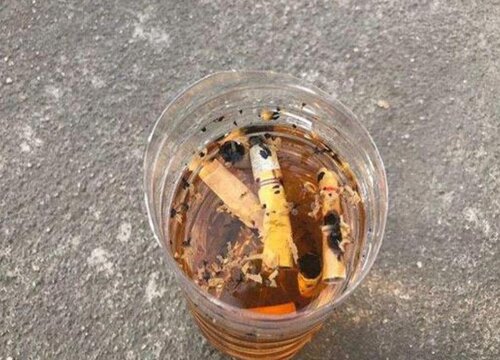 烟蒂水浇花的正确方法