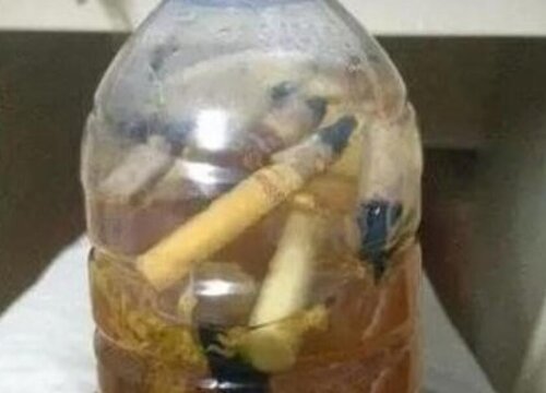 烟蒂水浇花的正确方法