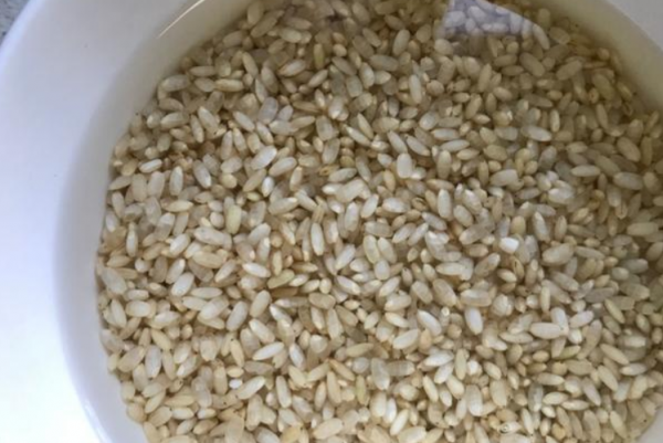 糙米怎么煮才能煮软