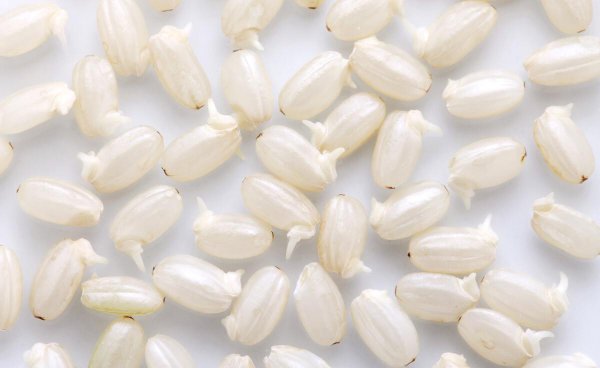 糙米怎么煮才能煮软