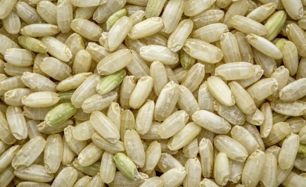 糙米怎么煮才能煮软