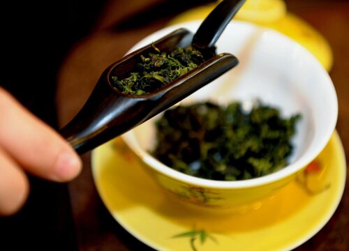 金骏眉品种有哪些