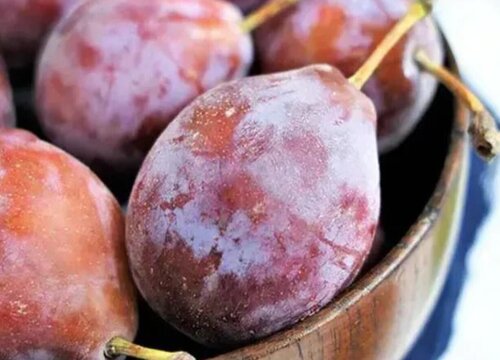 西梅好吃吗 新鲜西梅什么味道