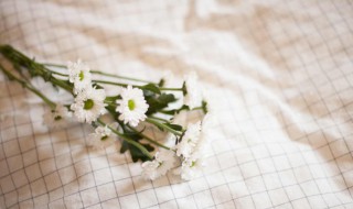 餐桌桌布用什么材质的好 桌布选哪种材质的好