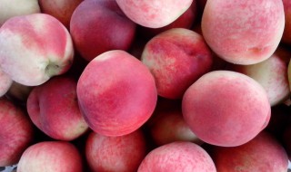 毛桃是凉性还是热性的 毛桃的属性是凉性还是热性的呢