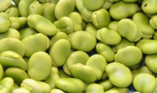 蚕豆发黄发黑还能吃吗 蚕豆发黄发黑还能不能吃