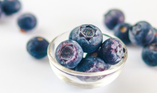 蓝莓适合室内种吗 蓝莓能在室内种吗