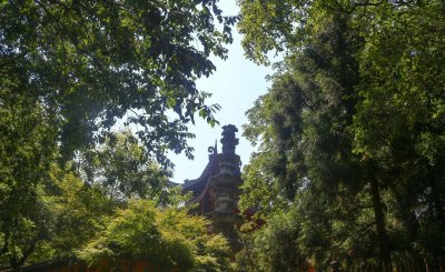 浙江好玩的地方排行榜 浙江值得一去的十大免费景点