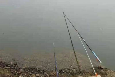 黑鱼怎么钓才容易上钩 现在怎样钓黑鱼才能使鱼快速上钩
