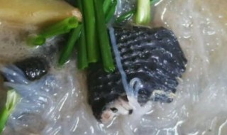 乌鸡的做法 乌鸡如何做