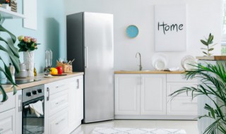 热的东西能直接放冰箱吗 热的东西可不可以直接放冰箱