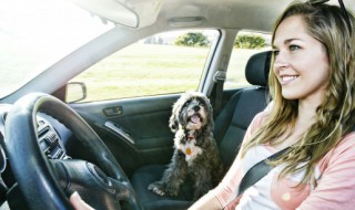 冬天汽车怎么启动暖风 冬天汽车如何启动暖风