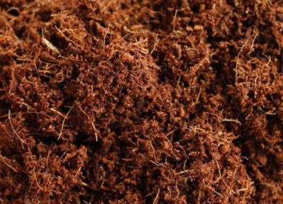 椰子壳可以做肥料吗 怎么处理成肥料