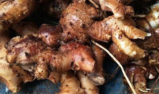 山姜头煲汤有什么功效 山姜头煲汤的功效有哪些