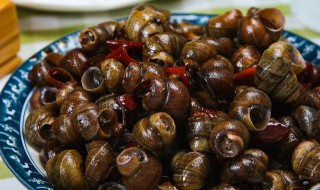 家里怎么炒螺丝好吃 家里如何炒螺丝好吃