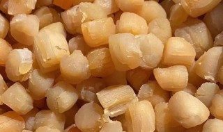 干贝煮多久 干贝煮多长时间才行