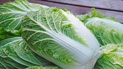 8月份种什么青菜合适 农历七八月份适合种什么蔬菜