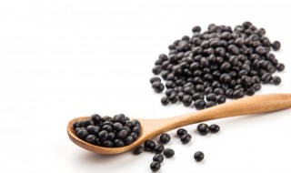 绿心黑豆是转基因的吗 绿心黑豆的介绍