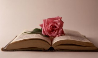 跨年文案短句 最新最火的跨年文案句子