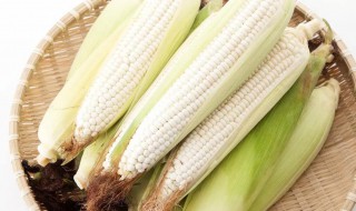 吃白玉米有什么好处 吃白玉米有哪些功效与作用