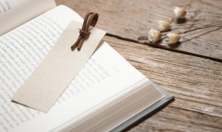 海子的诗 海子的诗有哪些