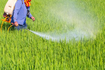 阿维菌素主要治什么虫效果最好 其作用与用量及注意事项