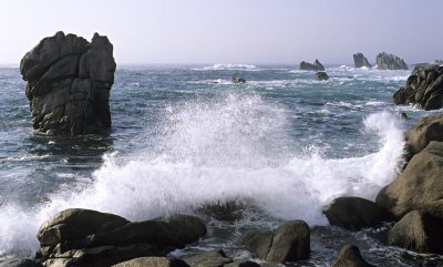 摸鱼是什么意思网络语 上班为什么会出现摸鱼的现象